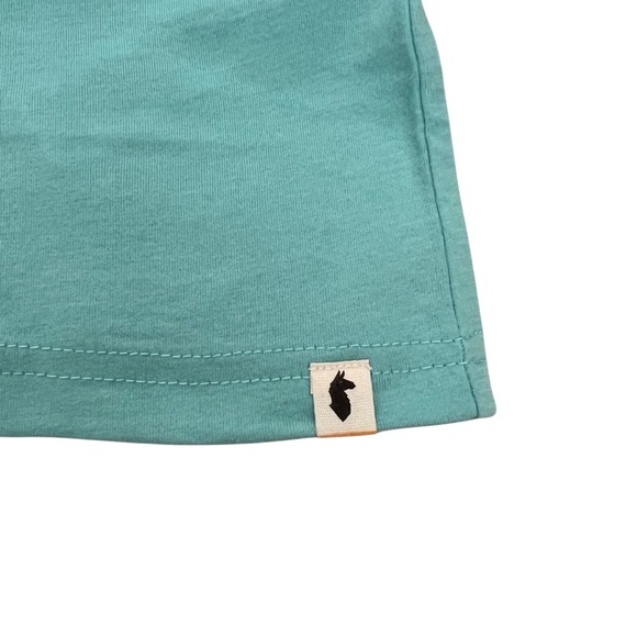 Cotopaxi Men’s Hello Desert Organic T-Shirt Sea Glass Blue - Size M - Picture 2 of 6